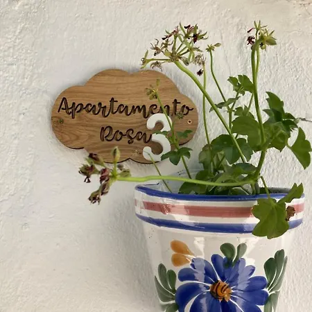 Apartment Rosa